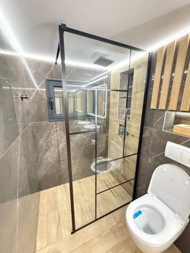 a bathroom with a toilet and a shower at Efesou Large Apartment in Néa Éfesos