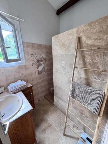 La salle de bains est pourvue d'une douche, d'un lavabo et d'une échelle. dans l'établissement Nouveau ! Villa avec piscine - Sainte-Marie-Siché, à Santa-Maria-Siché