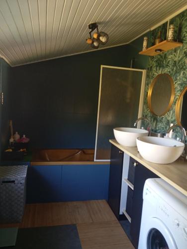 une salle de bain avec deux lavabos et une machine à laver dans l'établissement Maison cosy avec piscine et 2 chambres, à Niort
