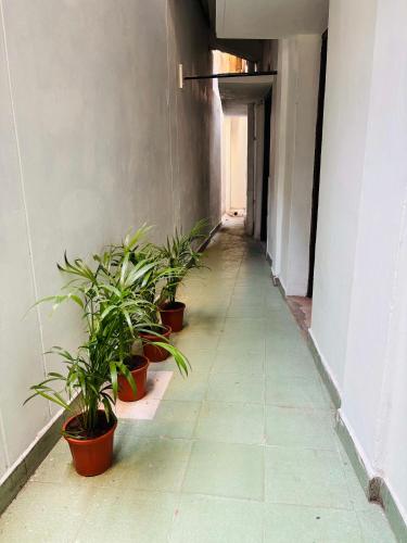 a corridor with potted plants in a hallway at Marhaba Guest House - Budget in Chennai