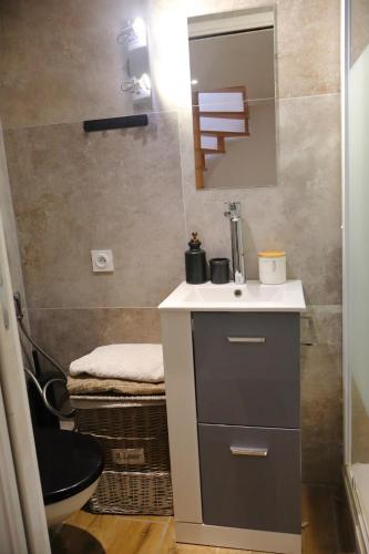 une salle de bain avec un lavabo, des toilettes et un miroir dans l'établissement duplex centre historique climatisé, à Toulon