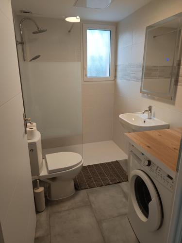 une salle de bain avec toilettes et lavabo et une machine à laver dans l'établissement La Bastide, à Labastide-Saint-Pierre