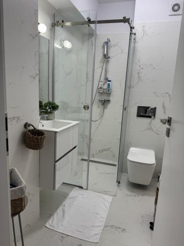 a bathroom with a shower and a toilet and a sink at ABE Apartment in Craiova