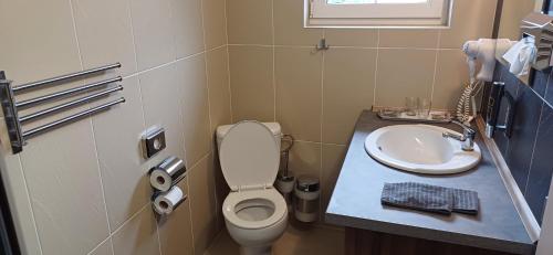 a small bathroom with a toilet and a sink at PENZION PARMA in Ostružná