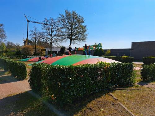 a group of people standing on top of a skate park at Boshuisje op de Schatberg in Sevenum