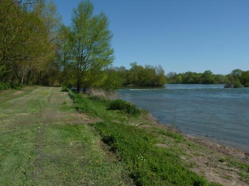 un chemin de terre à côté d'une rivière arborée dans l'établissement Gite de l'ilot, à Chouzé-sur-Loire