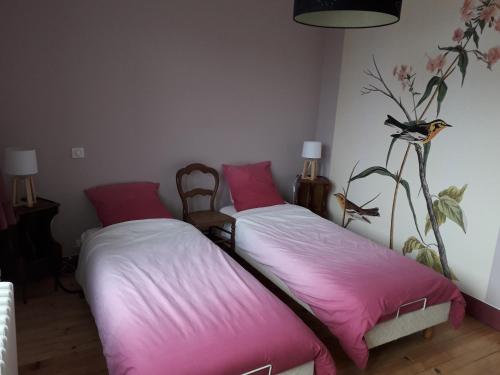 two beds in a room with pink sheets at Gîte Tante Aurore et chambres d'Hôtes in Chémery