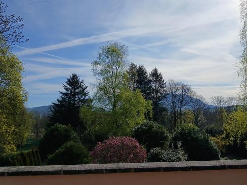 a view of a garden with trees and bushes at Hôtel l'Orée des Roches in Saales