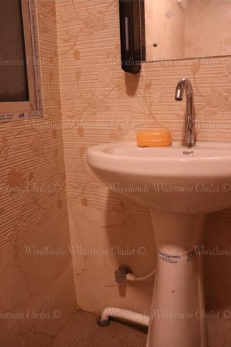 a bathroom with a sink and a toilet with a mirror at Woodlands Wilderness Chalet in Mādāri Hāt
