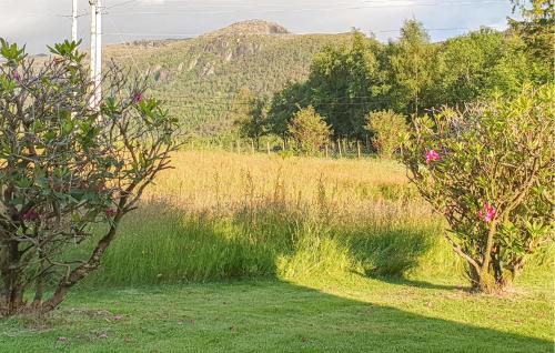 a field with trees and a mountain in the background at 5 Bedroom Lovely Home In Bjoa in Utbjoa