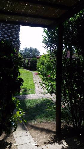 a view of a garden from a patio at Hotel Il Cipresso in Capalbio