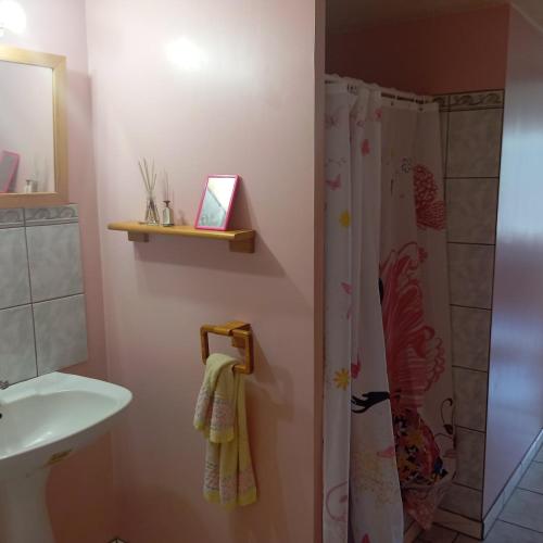 une salle de bain avec un rideau de douche et un lavabo dans l'établissement La vie en rose, à Courpière