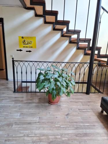 a plant in a pot in a room with stairs at Aura Plaza Hotel in Tbilisi City