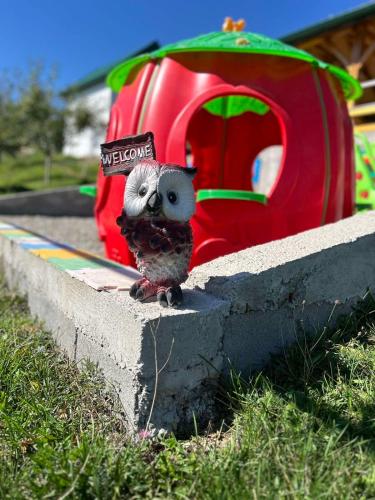 a small owl is sitting on a concrete ledge at Seosko domacinstvo Becirovic - Kukulik lodgings in Bijelo Polje
