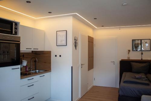 a kitchen and living room with a sink and a microwave at Direkt am See Winterberg Elkeringhausen in Winterberg