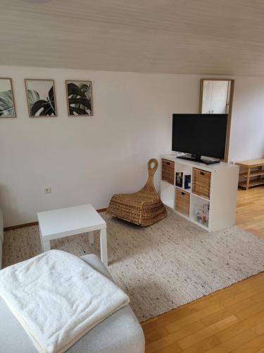 a living room with a television and a chair at Naturzauber in Sonnenbühl