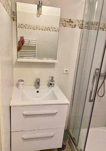 une salle de bain avec un lavabo et une douche dans l'établissement bellissimo appartamento, à Nice
