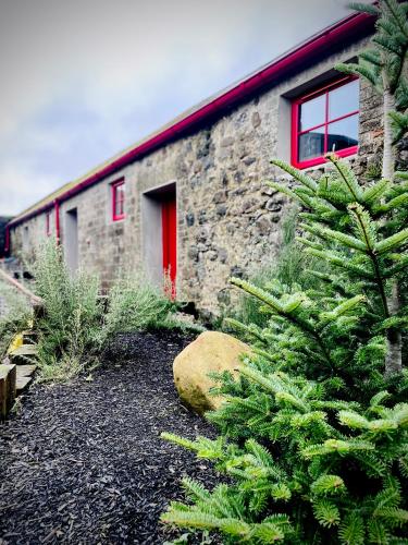 a stone building with a red door and a tree at Summerhill Byre in Ballymena