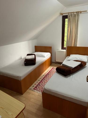 Gallery image of Pensiunea Ionela in Zemeş