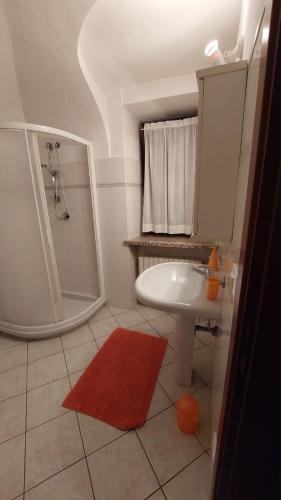 a bathroom with a shower and a sink at La petite maison Fleur in Biella