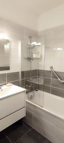 une salle de bain avec douche et lavabo dans l'établissement L'Ame du chalet, à Allevard