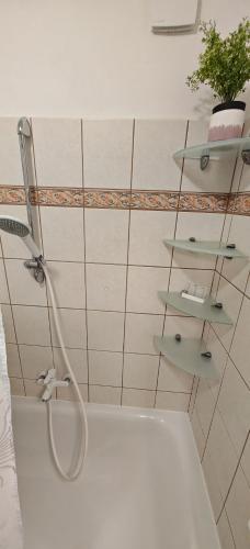 a shower in a bathroom with a plant on the wall at Old Town & New Style in Pécs