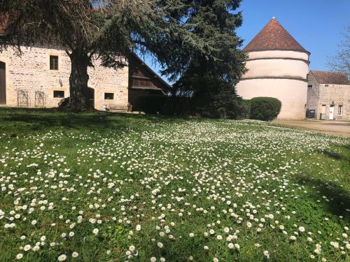 Gite chez mary au domaine du château de ragny