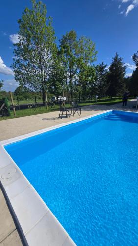 una piscina azul con mesa de picnic en un parque en CASA AMORE Exclusive with pool, en Slatina