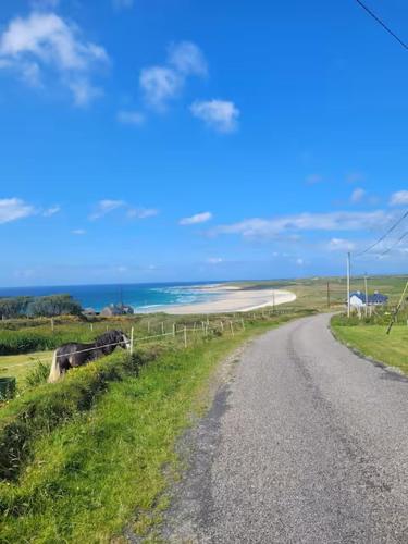 a dirt road with a cow on the side of a field at Belmullet Beach House Retreat in Belmullet