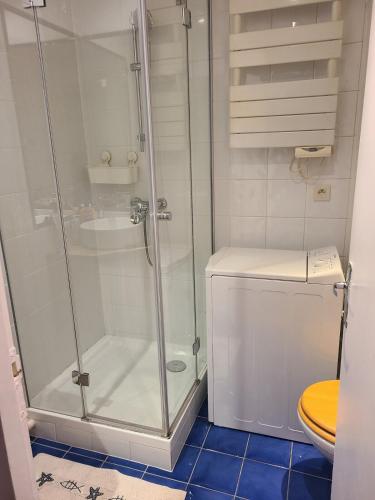 une salle de bain avec douche et toilettes dans l'établissement Charmant appartement à 2 min du métro, à Pantin