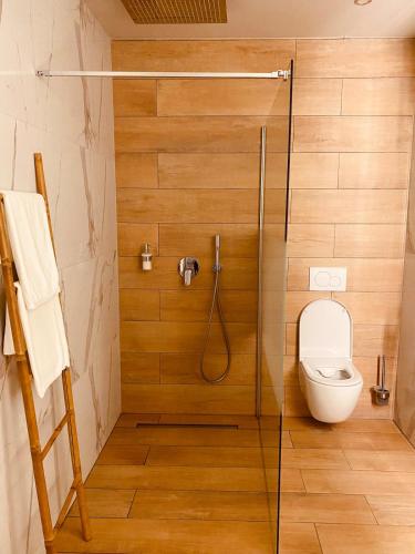 La salle de bains est pourvue de toilettes et d'une cabine de douche en verre. dans l'établissement Loft privatif avec Jacuzzi et sauna All in One, à Entzheim