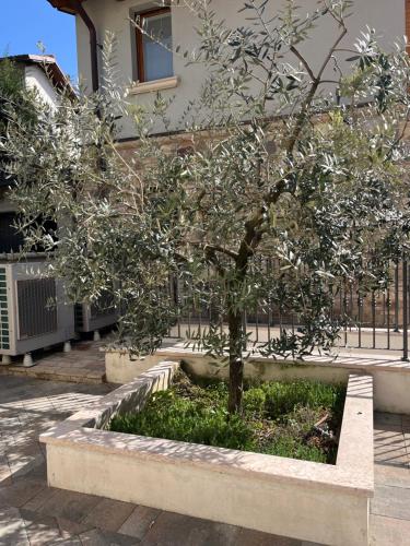 Le residenze del Lugana