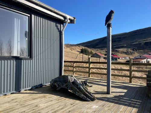 a turtle laying on a deck next to a building at Lækjarhus Farm Holidays in Borgarhöfn