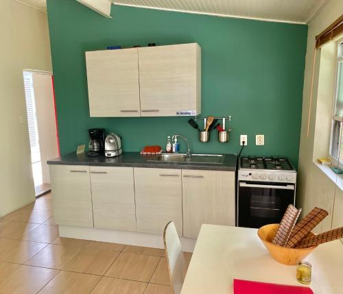 a kitchen with green walls and a sink and a table at Advantage Apartments Curacao in Willemstad