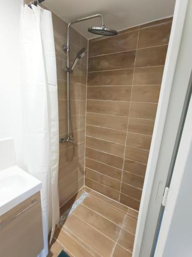 La salle de bains est pourvue d'une douche avec rideau de douche. dans l'établissement Charming duplex, à Vitry-sur-Seine