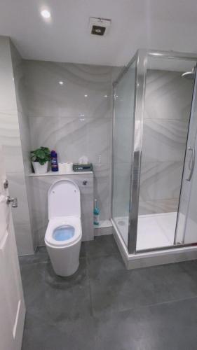 a bathroom with a toilet and a shower at 3 Bedrooms Apartment with security 24 hours in London