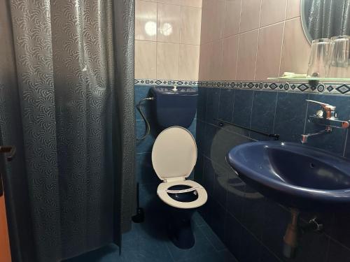 a bathroom with a toilet and a sink at Парк-хотел Родопи in Churen