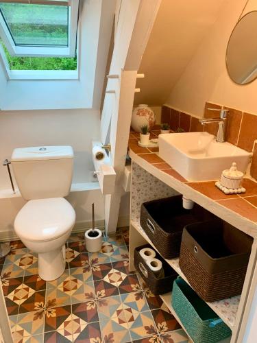 une salle de bain avec toilettes et lavabo dans l'établissement L'Orée rouge de la Forêt, à Villefranche-Sur-Cher