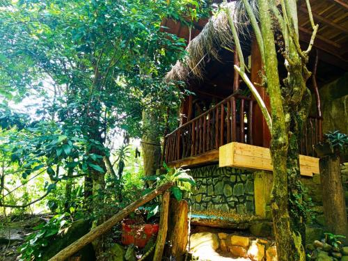 Jungle Face Innにある庭