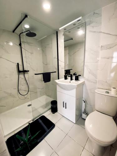 une salle de bain avec toilettes, douche et lavabo dans l'établissement Loft au coeur du centre historique, à Narbonne