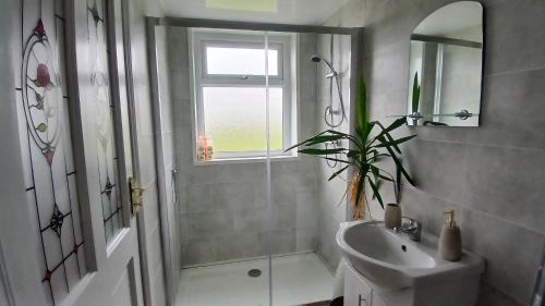 a bathroom with a sink and a shower and a mirror at "The Den" Belmullet in Belmullet