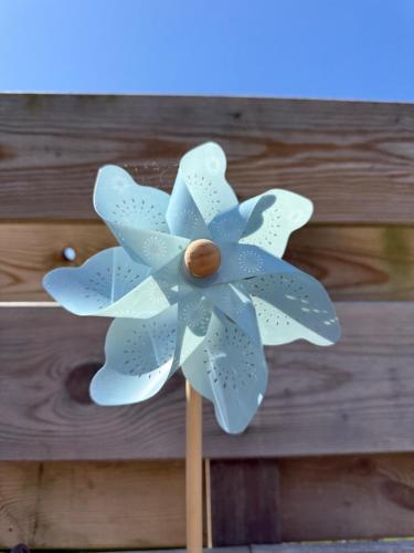 Φωτογραφία από το άλμπουμ του Wad Leuk σε Westerland