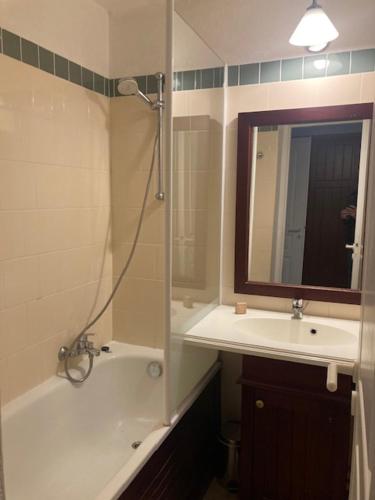 une salle de bain avec une douche, un lavabo et un miroir dans l'établissement Palombière et Golf, à Biscarrosse