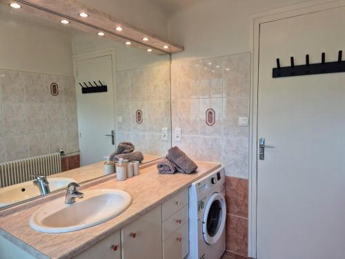 une salle de bain avec un lavabo et une machine à laver dans l'établissement Pays Basque Gite Munhoa, à Anhaux