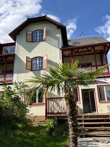 a house with a palm tree in front of it at Villa Bella Vita in Seeboden