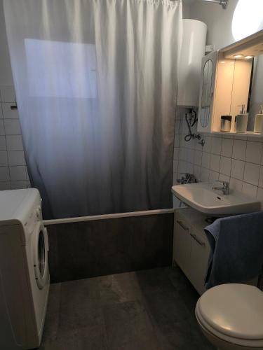 a bathroom with a shower curtain and a toilet and a sink at Hiša Belin in Podbela