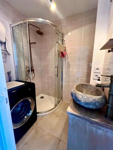 une salle de bain avec un lavabo et une douche avec un lavabo dans l'établissement Studio cabine vue mer, au Grau-dʼAgde