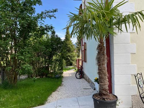 a palm tree in a pot next to a house at Villa Bella Vita in Seeboden