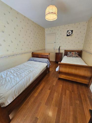 une chambre avec deux lits et un lustre dans l'établissement Chambre d'hote les frérots, à Lurcy-le-Bourg