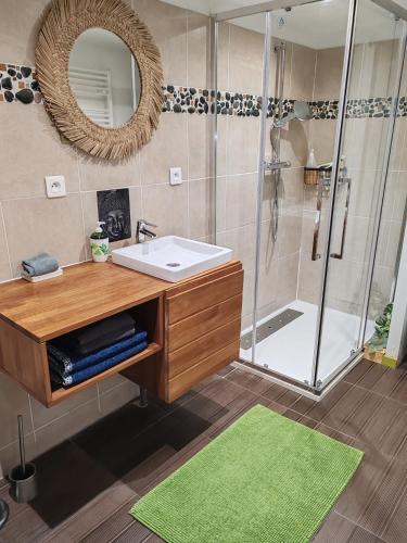 une salle de bain avec un lavabo et une douche avec un miroir dans l'établissement Appartement T2 sur cour nantaise, à Rezé
